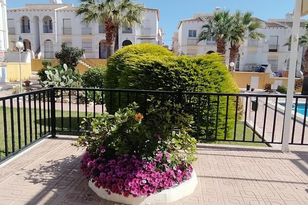 Villamartin Golf Lovers Home 圣米格尔德萨利纳斯 外观 照片